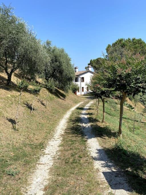 Tenuta Da Mose Con Vista Sui Colli Asolani Monfumo Exteriör bild
